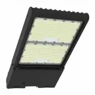 Flood Light Bulbs