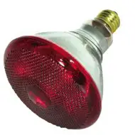 Heat Lamp Bulbs