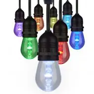 Colored Light Bulbs