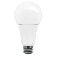 Standard Light Bulbs