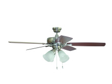 Craftmade TCE52BNK5C4-C - 52" Fan w/Blades & LED Light Kit (Express Install)