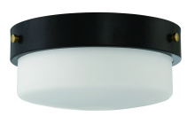Craftmade X3214-FB - 13.75" Flushmount