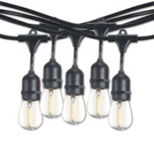 Bulbrite 810162 - 810162 48' STRING LIGHT 15 SOCKETS KIT BLACK W/ LED 0.7W S14 CLEAR E26 LAMPS