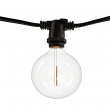 Bulbrite 812123 - 14' STRING LIGHT 10 SOCKETS 16" SPACING E12 BLACK KIT - W/1W PLASTIC LED G16 CLEAR LAMPS