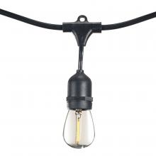 Bulbrite 812483 - 48' STRING LIGHT 15 SOCKETS 36" SPACING E26 BLACK KIT - W/1W PLASTIC LED S14 CLEAR LAMPS