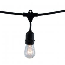 Bulbrite 810006 - 14' STRING LIGHT 10 SOCKETS KIT BLACK W/11W S14 CLEAR 130V E26 LAMPS