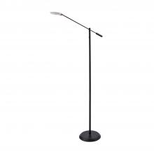 Kendal FL5021-BLK - IGGY Black Floor Lamp