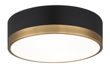 Matteo Lighting M14302BKAG - Trydor Ceiling Mount