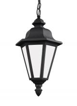 Generation Lighting 69025EN3-12 - Brentwood One Light Outdoor Pendant