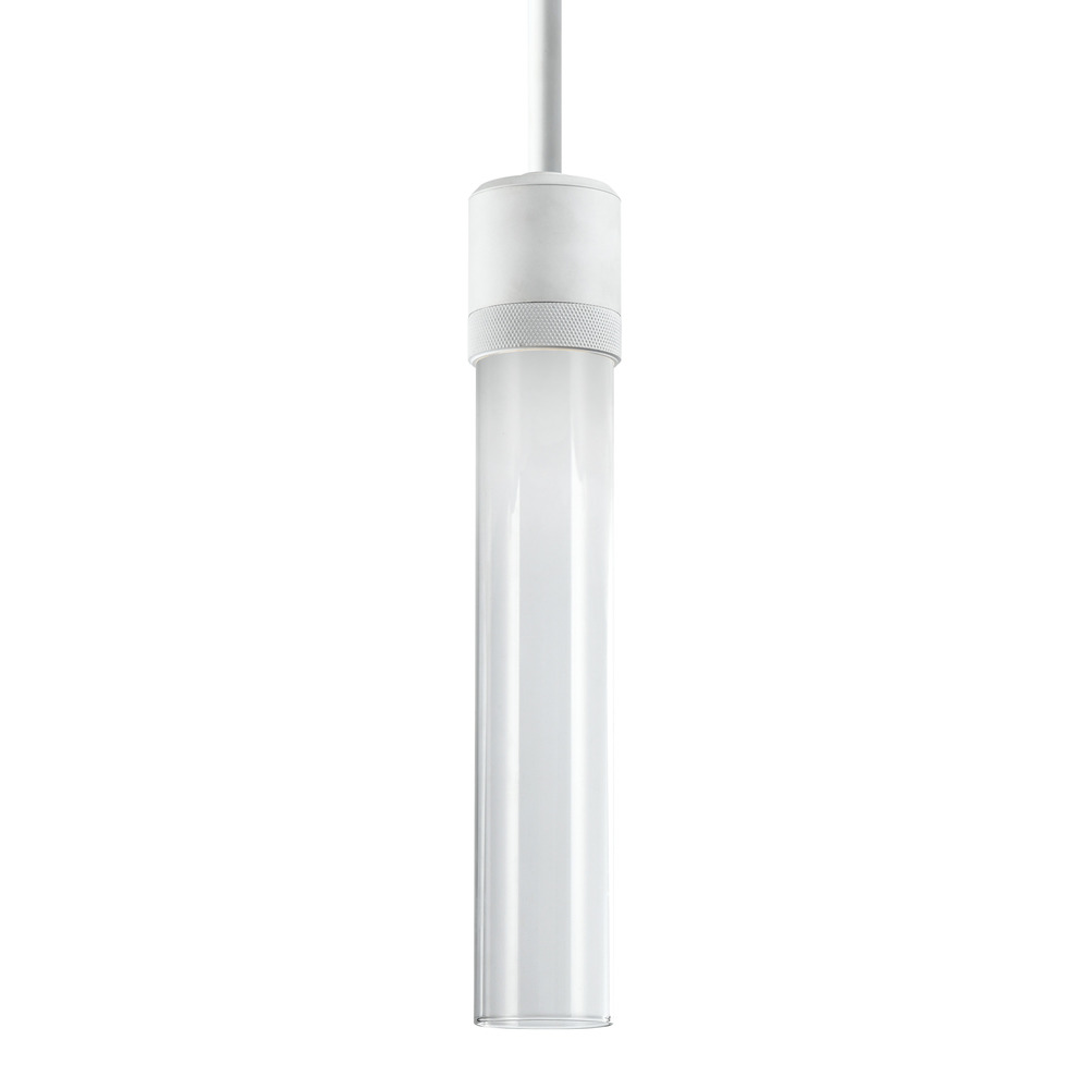 Zigrina 12" Clear Glass LED Pendant with Knurl Ring Matte White