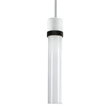 ZEEV Lighting P11702-LED-MW-K-SBB-G1 - Zigrina 12" Clear Glass LED Pendant in Matte White and Aged Black Knurl Ring