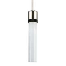 ZEEV Lighting P11703-LED-PN-K-SBB-G1 - Zigrina 12" Clear Glass LED Pendant in Nickel and Black Knurl Ring