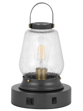 CAL Lighting BO-3218AC - 60W Terni accent lamp with bubbled glass & rocker switch. Equipped with 1 USB