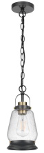 CAL Lighting FX-3824-1 - 60W Kavala metal pendant light with glass shade
