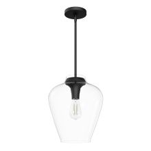 Hunter 49011 - Hunter Vidria Matte Black with Clear Glass 1 Light Pendant Ceiling Light Fixture