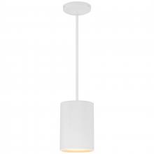 Access 29006-MWH - Pendant