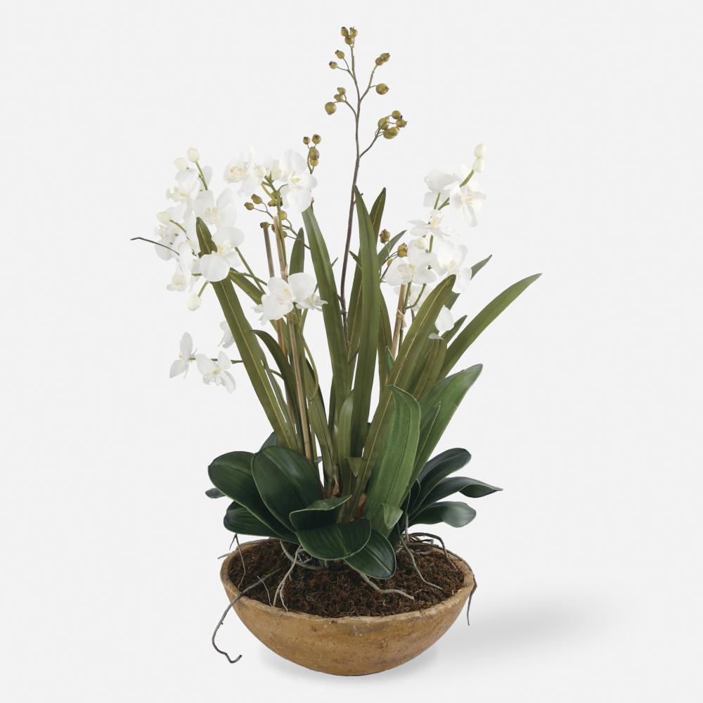 Uttermost Moth Orchid Planter