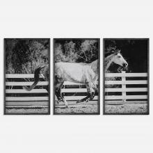 Uttermost 32279 - Uttermost Galloping Forward Equine Prints Set/3