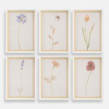 Uttermost 32384 - Uttermost Wild Flourish Framed Floral Prints Set/6
