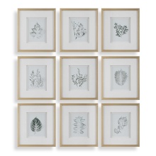 Uttermost 32449 - Uttermost Nature's Script Framed Botanical Prints Set/9
