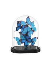 Currey 1200-0896 - Rue de Bac Blue Medium Butterflies