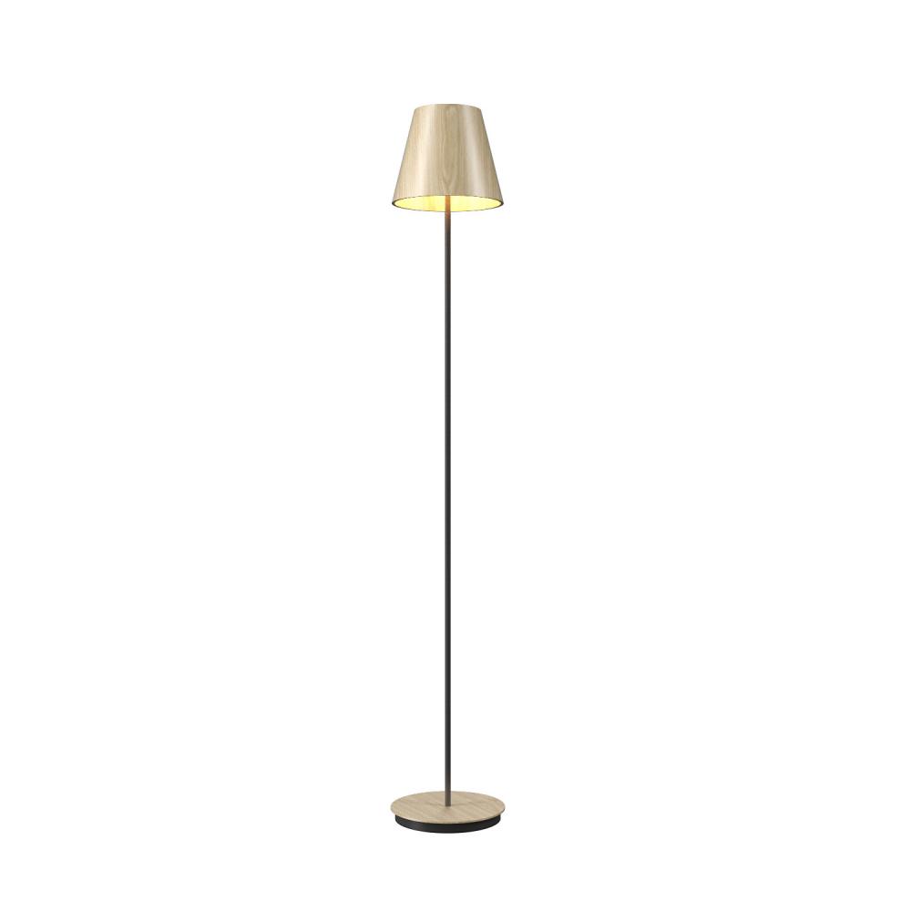 Conical Accord Floor Lamp 3053